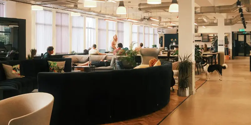 The Rhubarb workspace